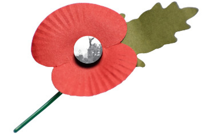poppy